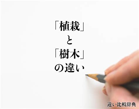 樹木植栽|「植栽」と「樹木」の違いとは？分かりやすく解釈